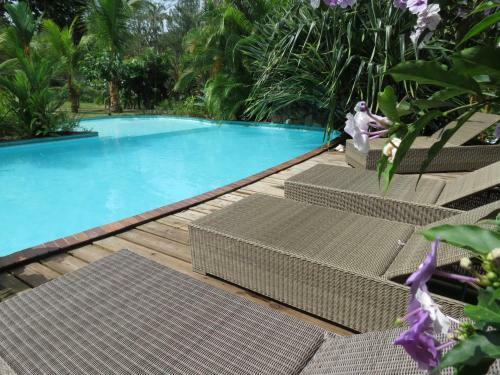 Bed & Breakfast Monkey Lodge Panama