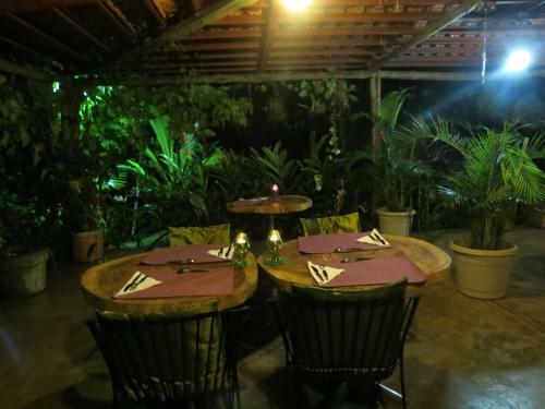 Bed & Breakfast Monkey Lodge Panama