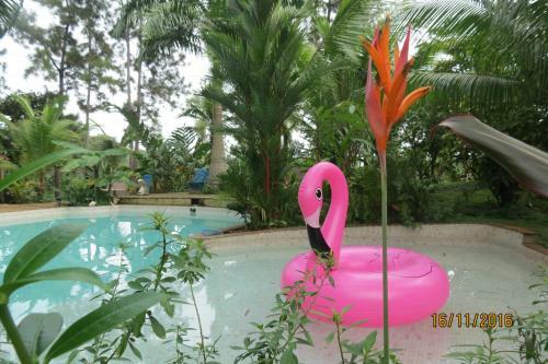 Bed & Breakfast Monkey Lodge Panama