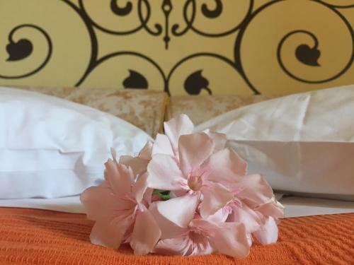 Agroturismo Casale Il Poggetto