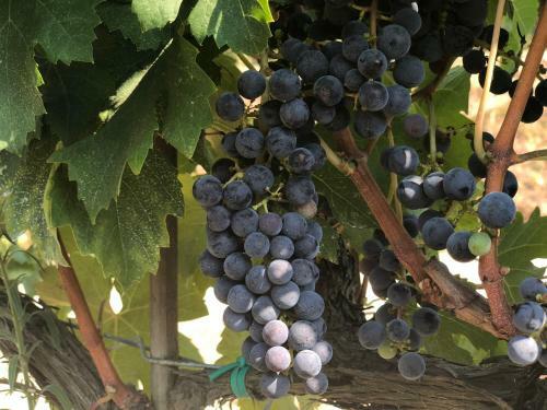 Agroturismo Casale Il Poggetto