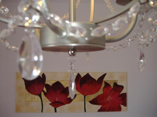 B&B Corallo