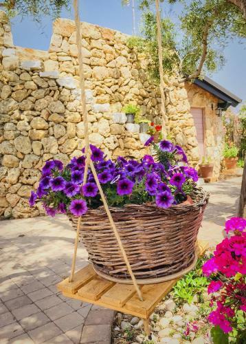 B&B Corallo