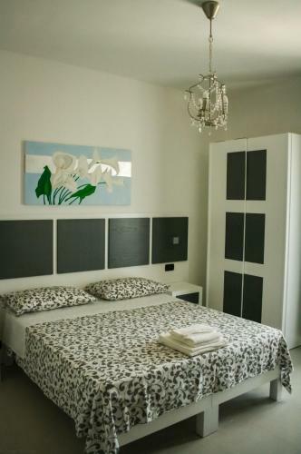 B&B Corallo