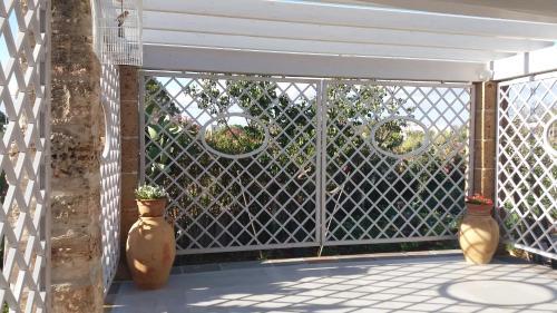 B&B Corallo