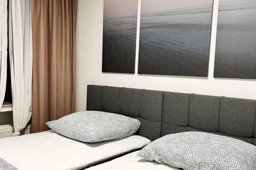 1 Room Apartment