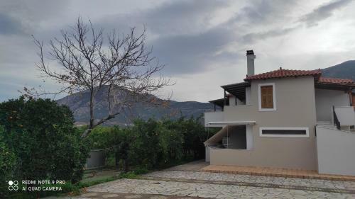 Apartamento A Casa D' Irene
