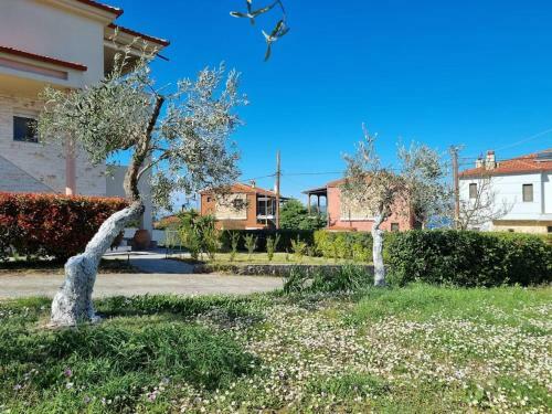Villa Alivia Garden