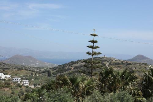 Apartamento Stone House In Paros