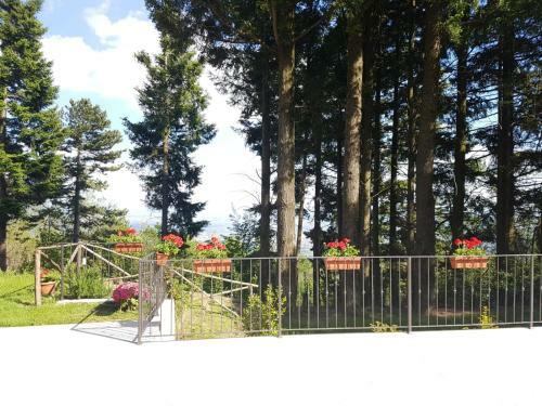 Bella Tuscany - Residence