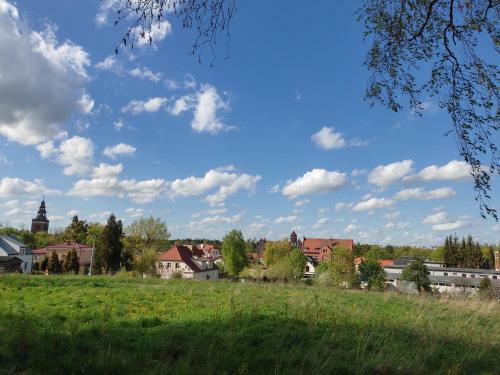 Apartament Willa Zamkowe Wzg�rze