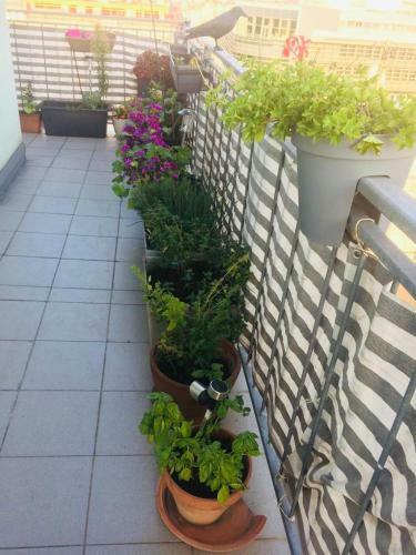 Central Rooftop Apartment - Vienna View Volksoper