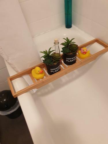 Apartamento Calici