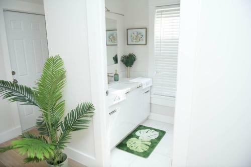 Little Havana Home