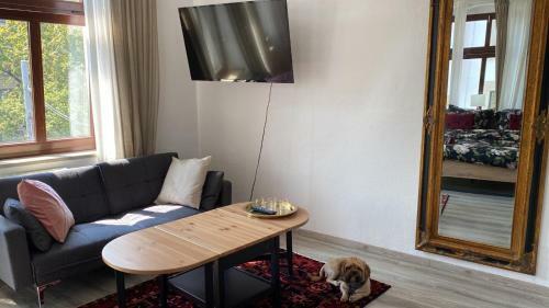 Apartamento Ferienwohnung In Erfurt