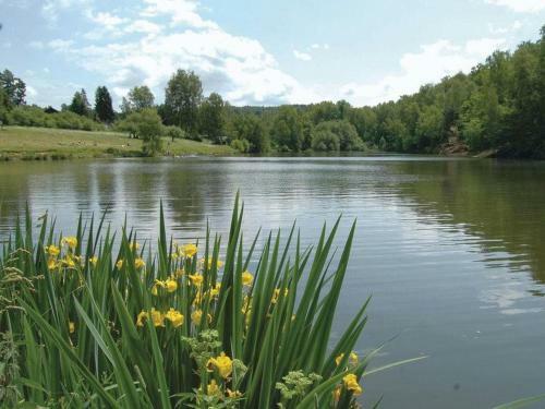 Holiday Home Vesec U Liberce