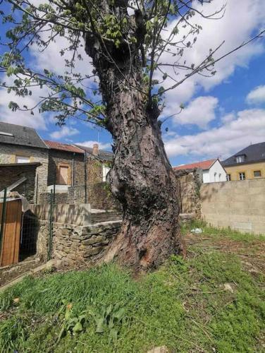 Apartamento La Cascade Verte /appartement /jardin /parking