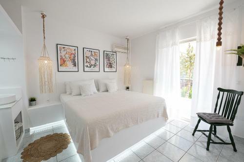 Apartamento Camo?s House