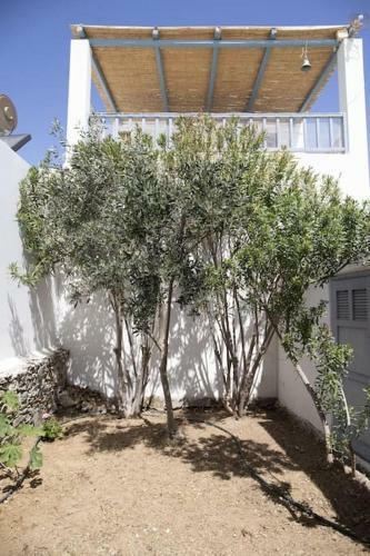 Beachfront 2br Apartment - Free Parking