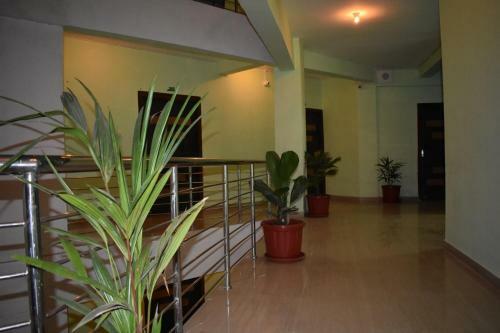 Hotel Puri Greens