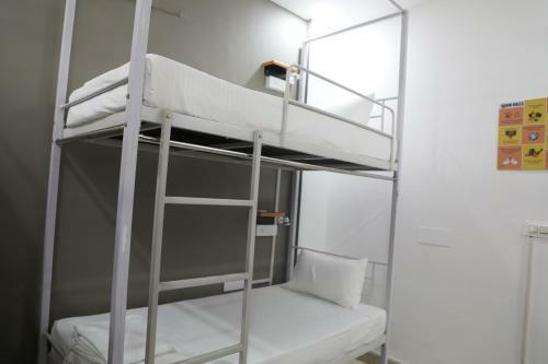 Live Free Hostel 2.0 Rishikesh