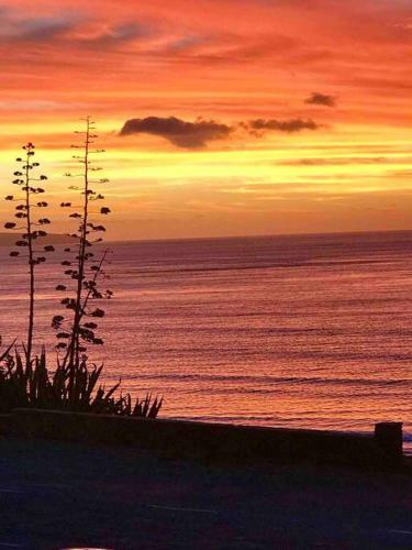 Sunset Ocean Views Esplanade, 5 Br, Sleeps 10