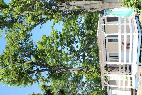 Camping Sokol Praha