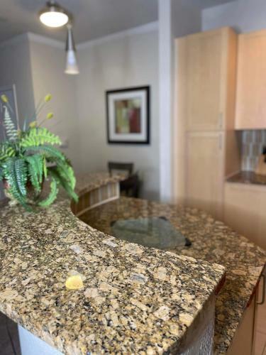 Apartamento Beautiful 2 Bedroom Condo