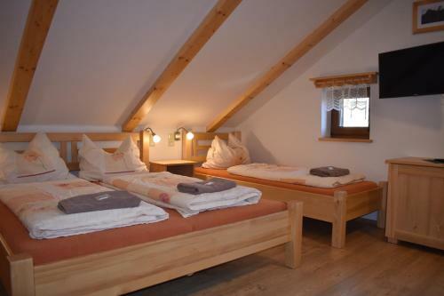 Hostal Penzion U Jelena