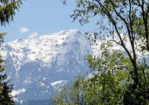 Apartamento Bergpanorama Haus Hopfner
