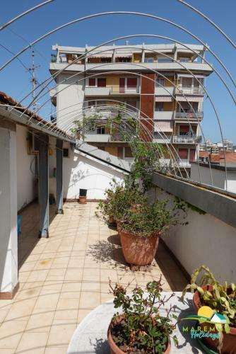 Maremma Holidays: Giacomelli Apartment