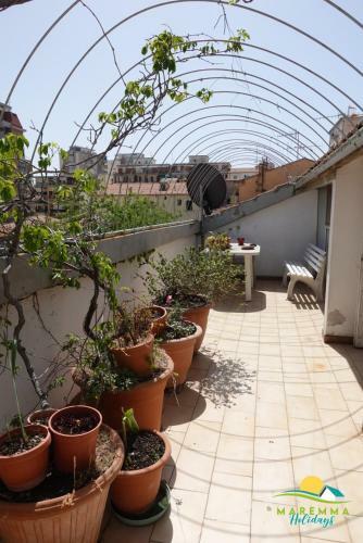 Maremma Holidays: Giacomelli Apartment