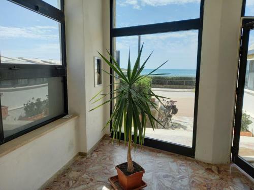 Apartamento Casa Morgana