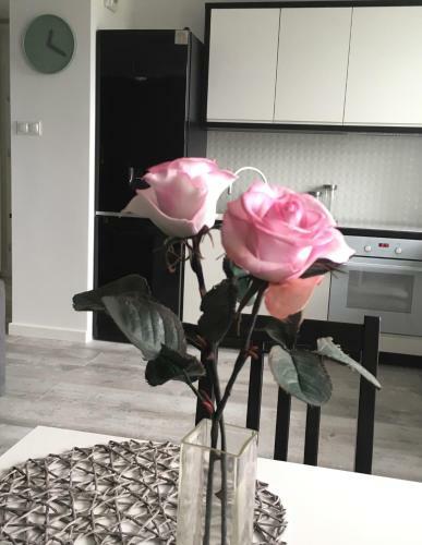 Apartament Mi?towa Zebra