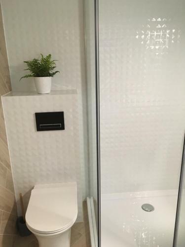 Apartament Mi?towa Zebra