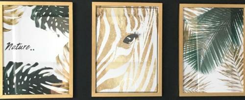 Apartament Mi?towa Zebra