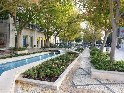 Apartamento Set�bal Health Beach