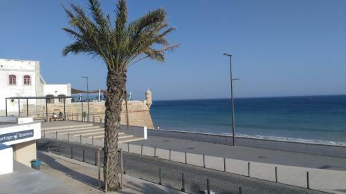 Seashell Apartment - Sesimbra