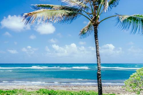 Apartamento Turtle Bay Villas 216