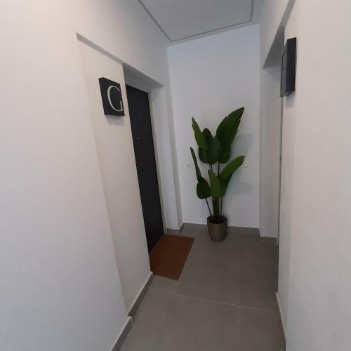 Valinor Apartments Boliches