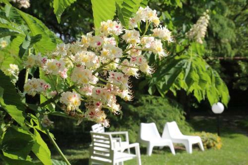 Apartamento B&B Francesca Mantova