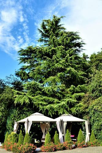 Ascot Hotel