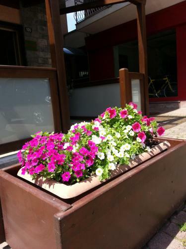 Hotel Albergo Carla
