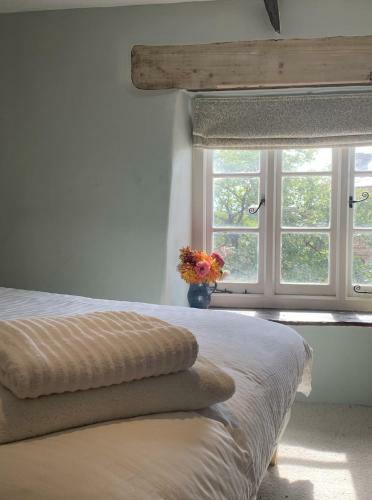 C17 Thatched Cottage In Historic Devon Market Town