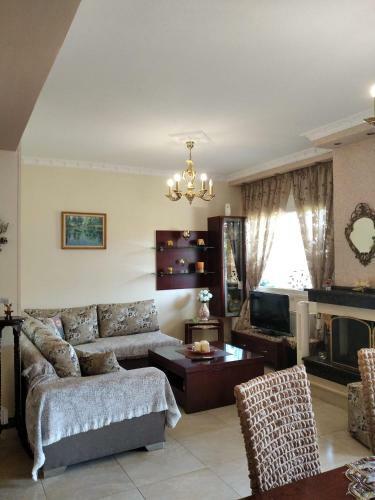 Holiday Villa