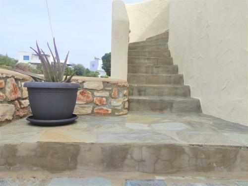 Apartamento Mosaic Suites