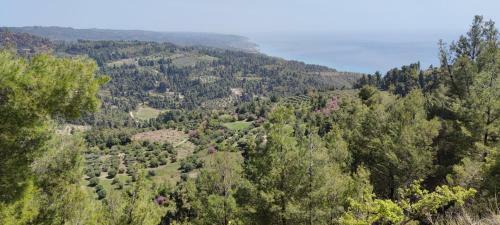 Groundfloor Apartment In Mola