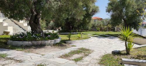 Groundfloor Apartment In Mola