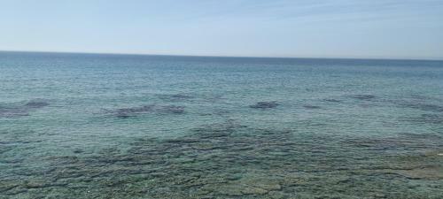 Groundfloor Apartment In Mola