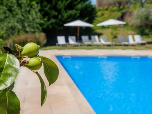 Holiday Home In Carrazeda De Ansi�es With Private Terrace